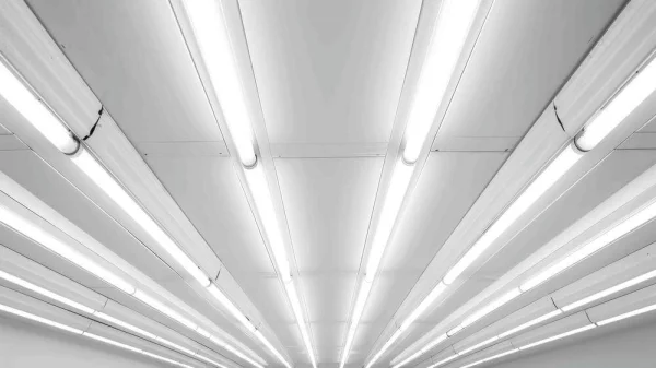 EVLN-600T8 LED-Leuchtstoffröhren an der Decke